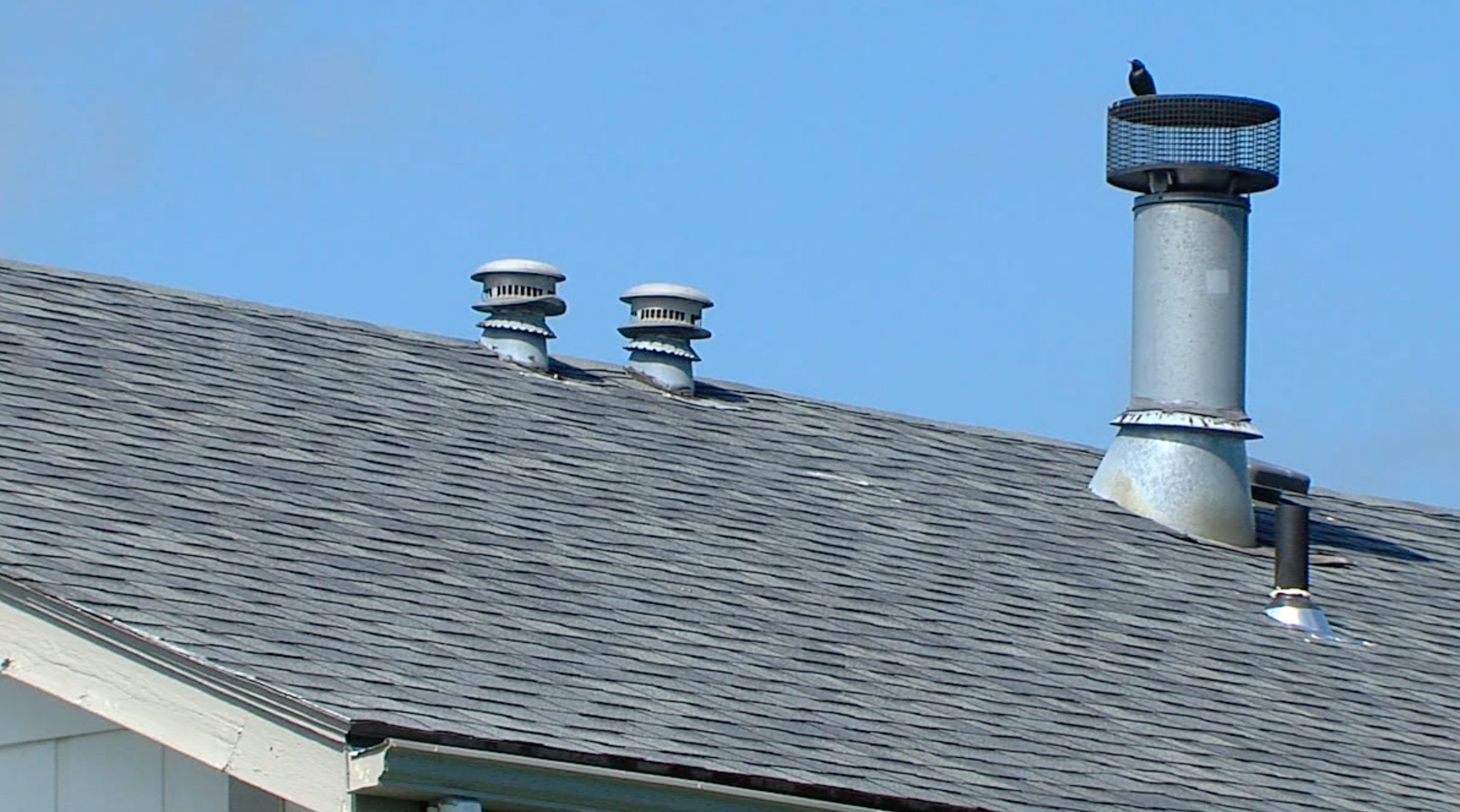 Elite Roof Systems to close due to COVID-19 pandemic - Vimarsana News